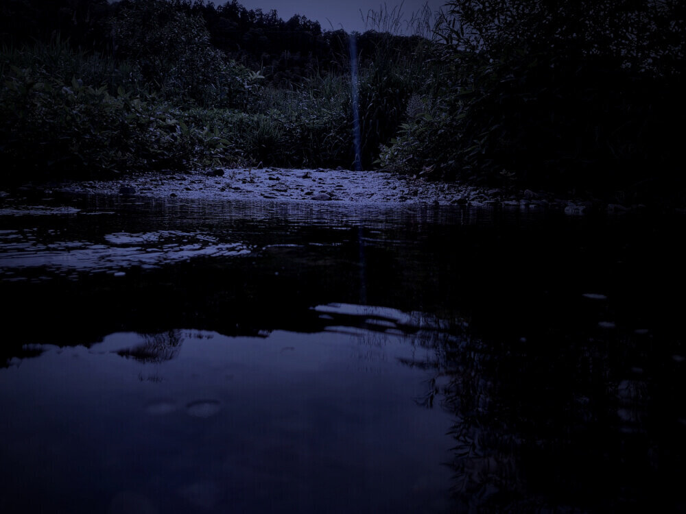 薄暗い川辺の写真
